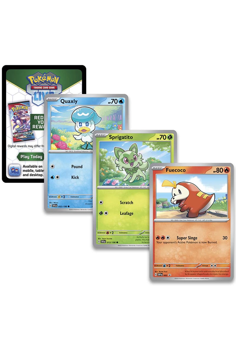 FUECOCO-PLADEA COLLECTION BOX (2018)